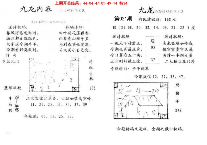 021期九龙内幕[图]