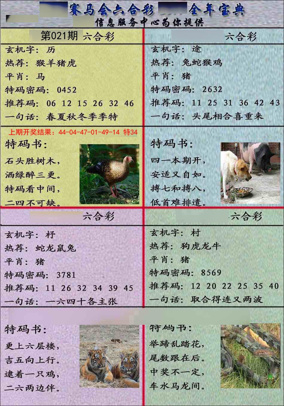 021期宝典报[图]