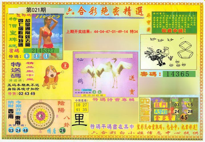 021期绝密精选A[图]