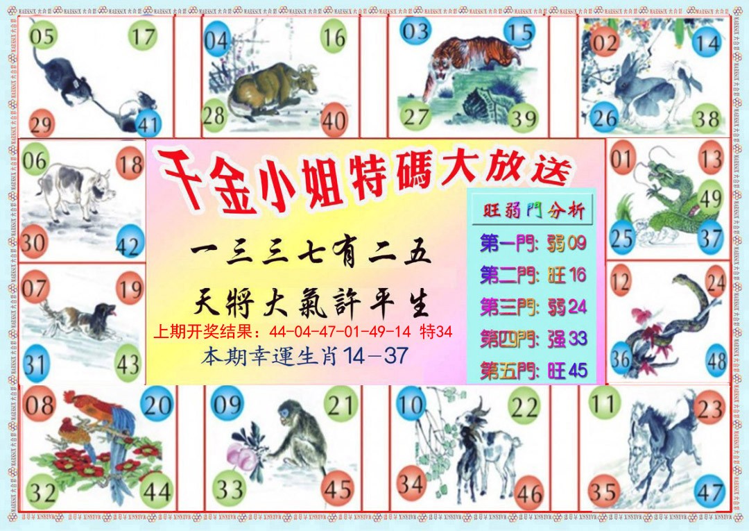 021期千金小姐B版[图]