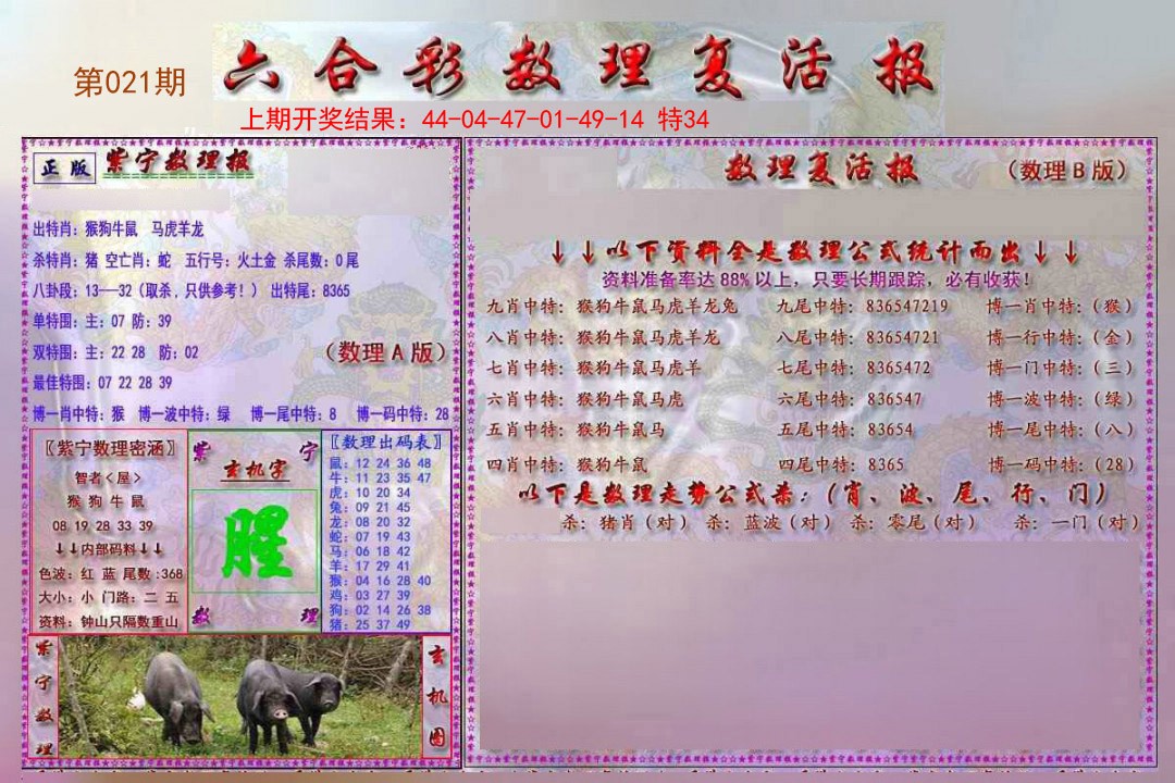 021期数理复活报[图]