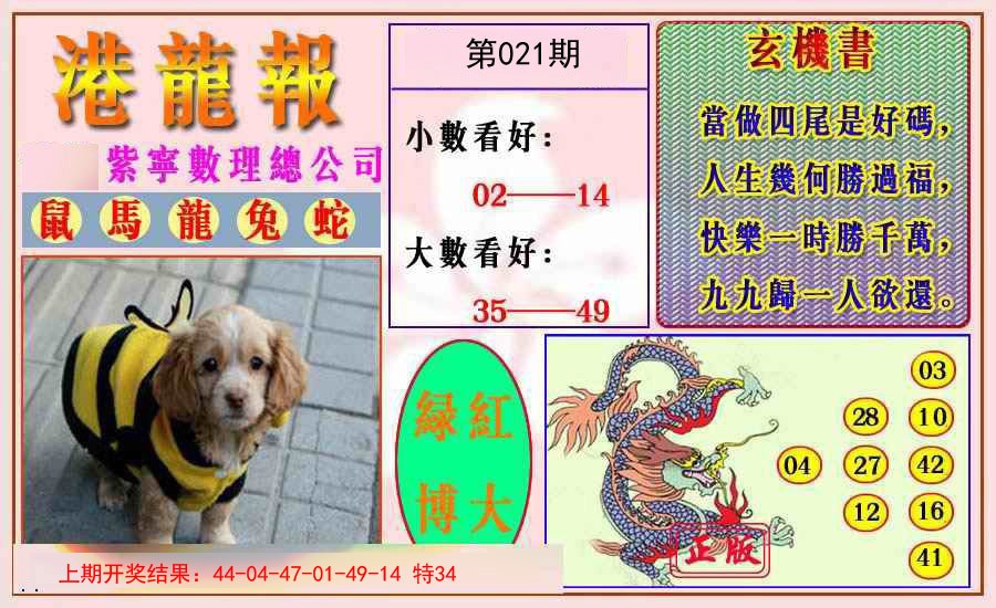 021期港龙报[图]