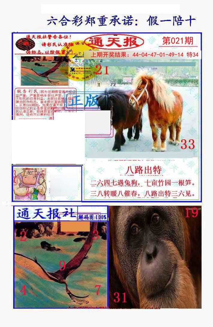 021期假一陪十通天报[图]