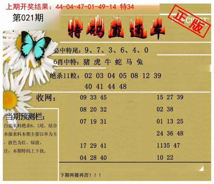 021期特码直通车[图]