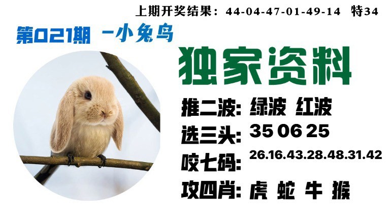 021期小兔鸟[图]