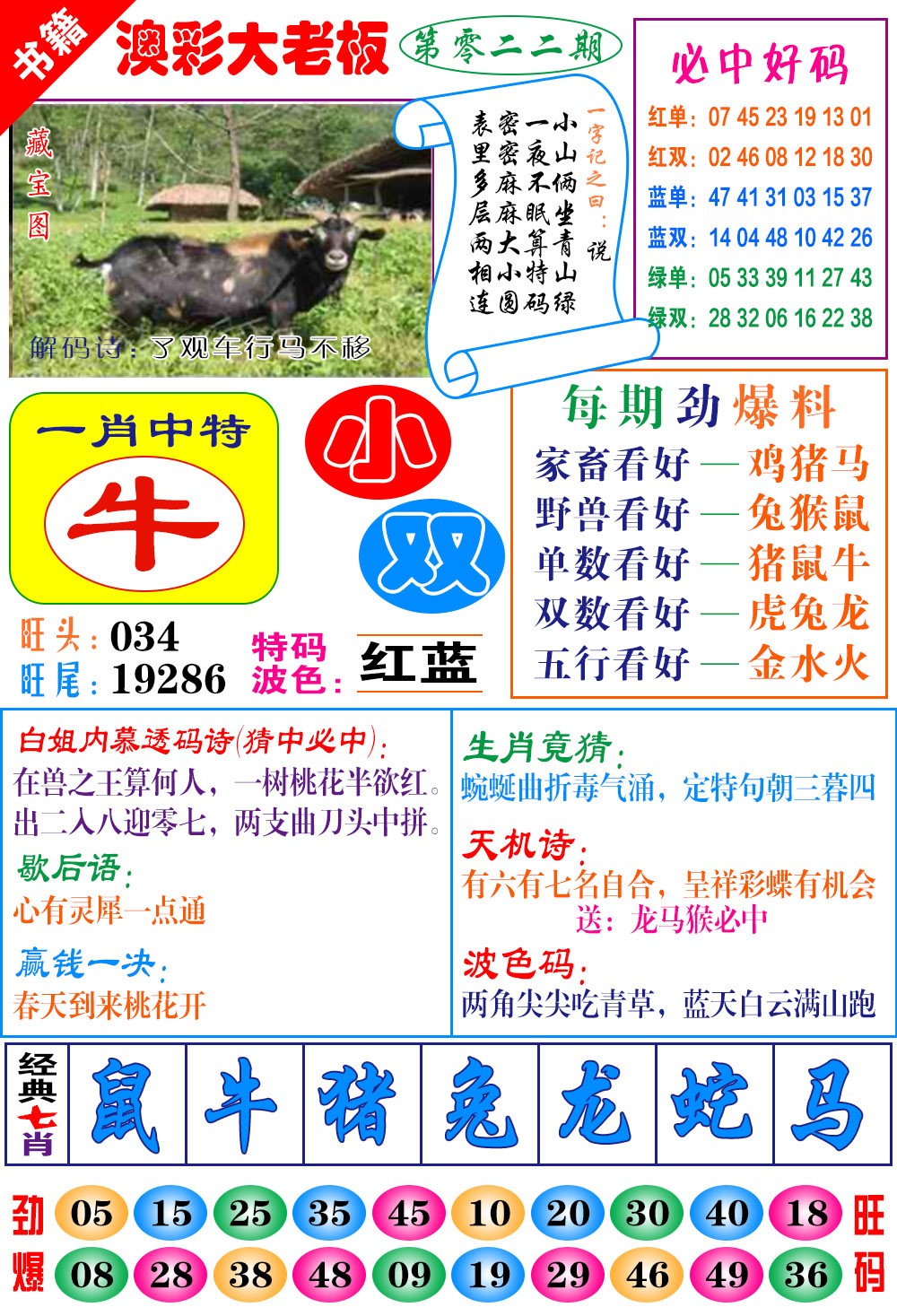 022期澳门大老板[图]