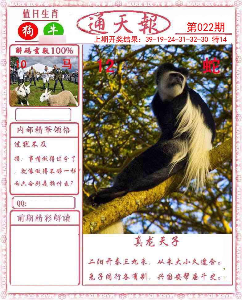 022期正版通天报[图]