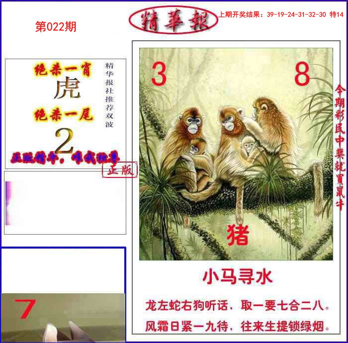 022期新精华报报[图]
