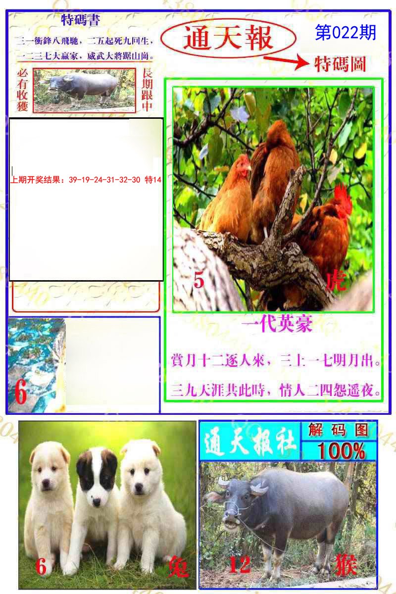 022期通天特解图[图]