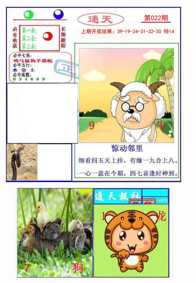 022期通天杀波图2[图]