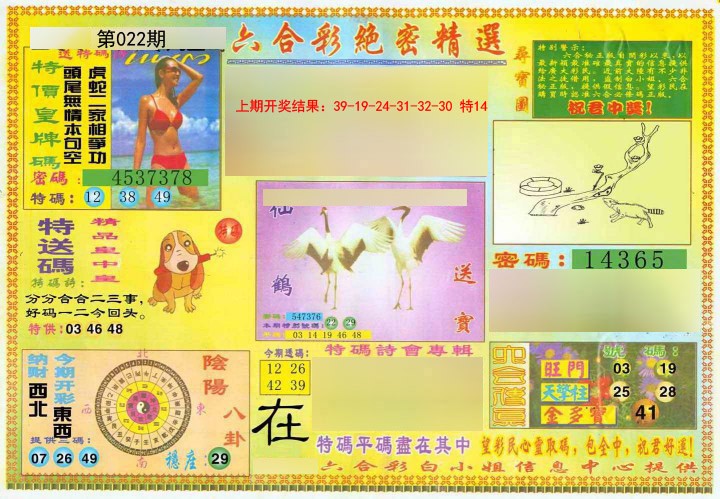 022期绝密精选A[图]