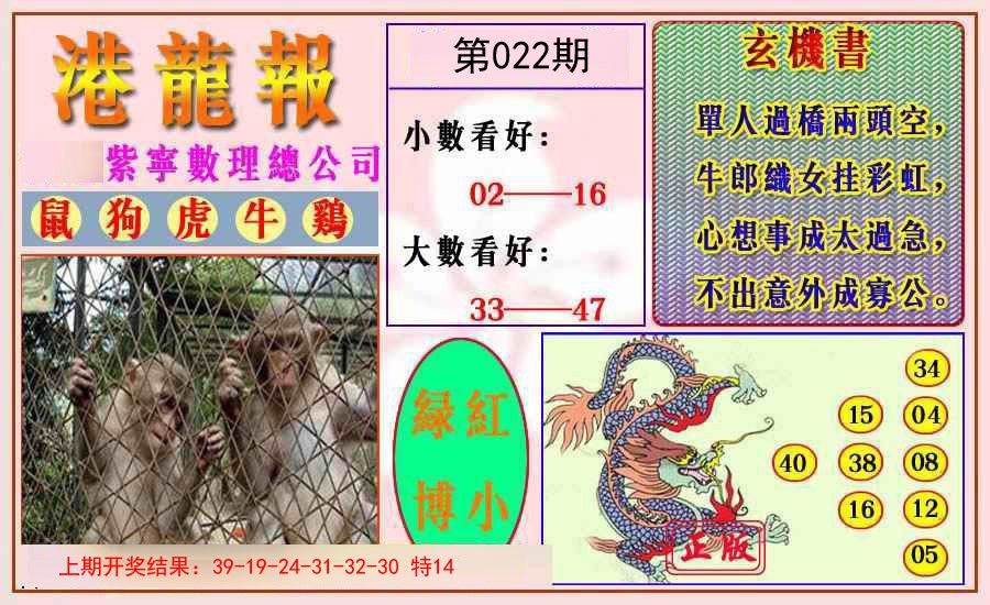 022期港龙报[图]