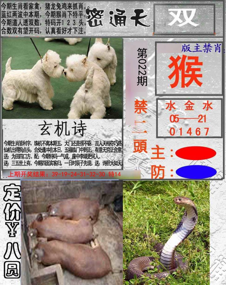 022期密通天[图]