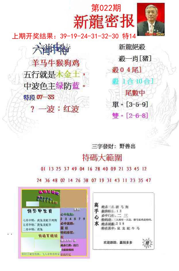 022期新龙密报[图]