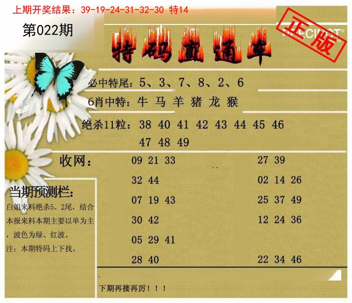 022期特码直通车[图]