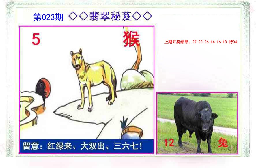 023期翡翠报[图]