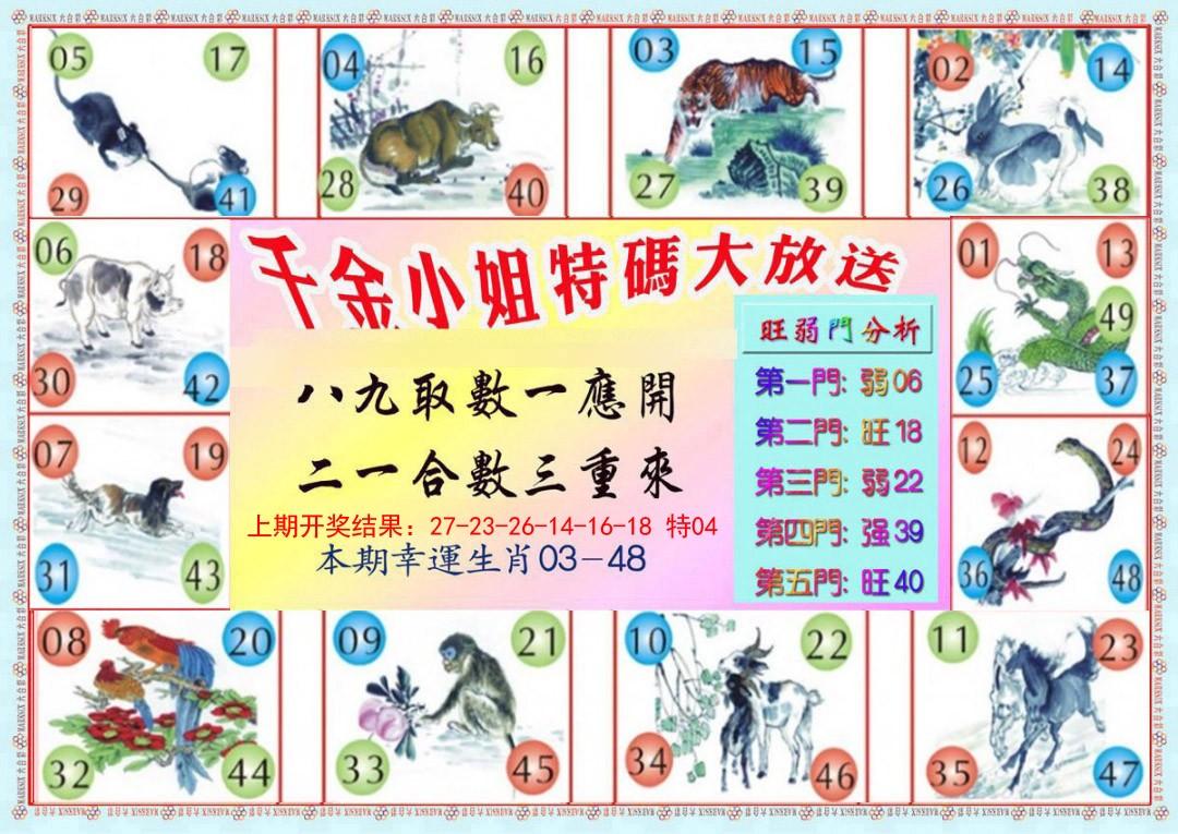 023期千金小姐B版[图]