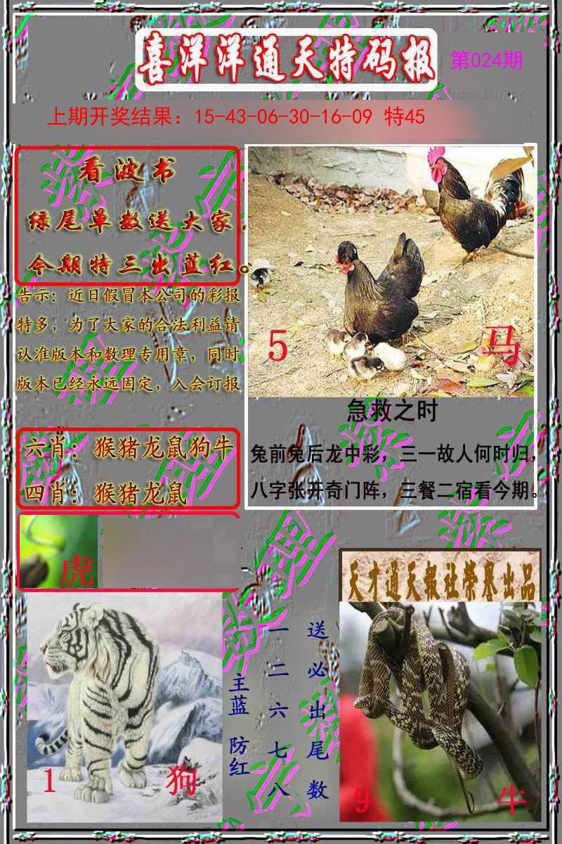 024期洋通报[图]