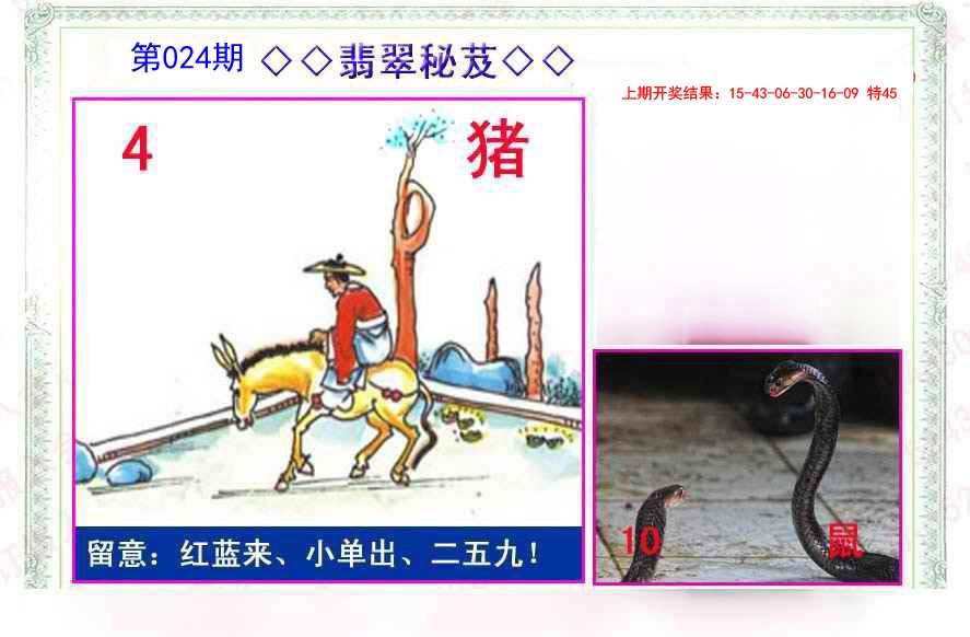 024期翡翠报[图]