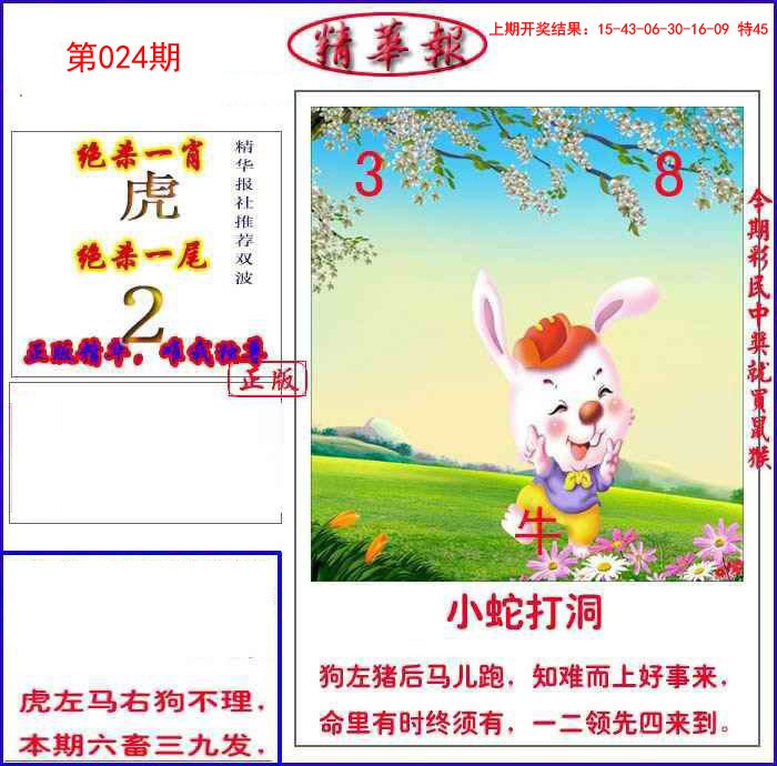 024期新精华报报[图]