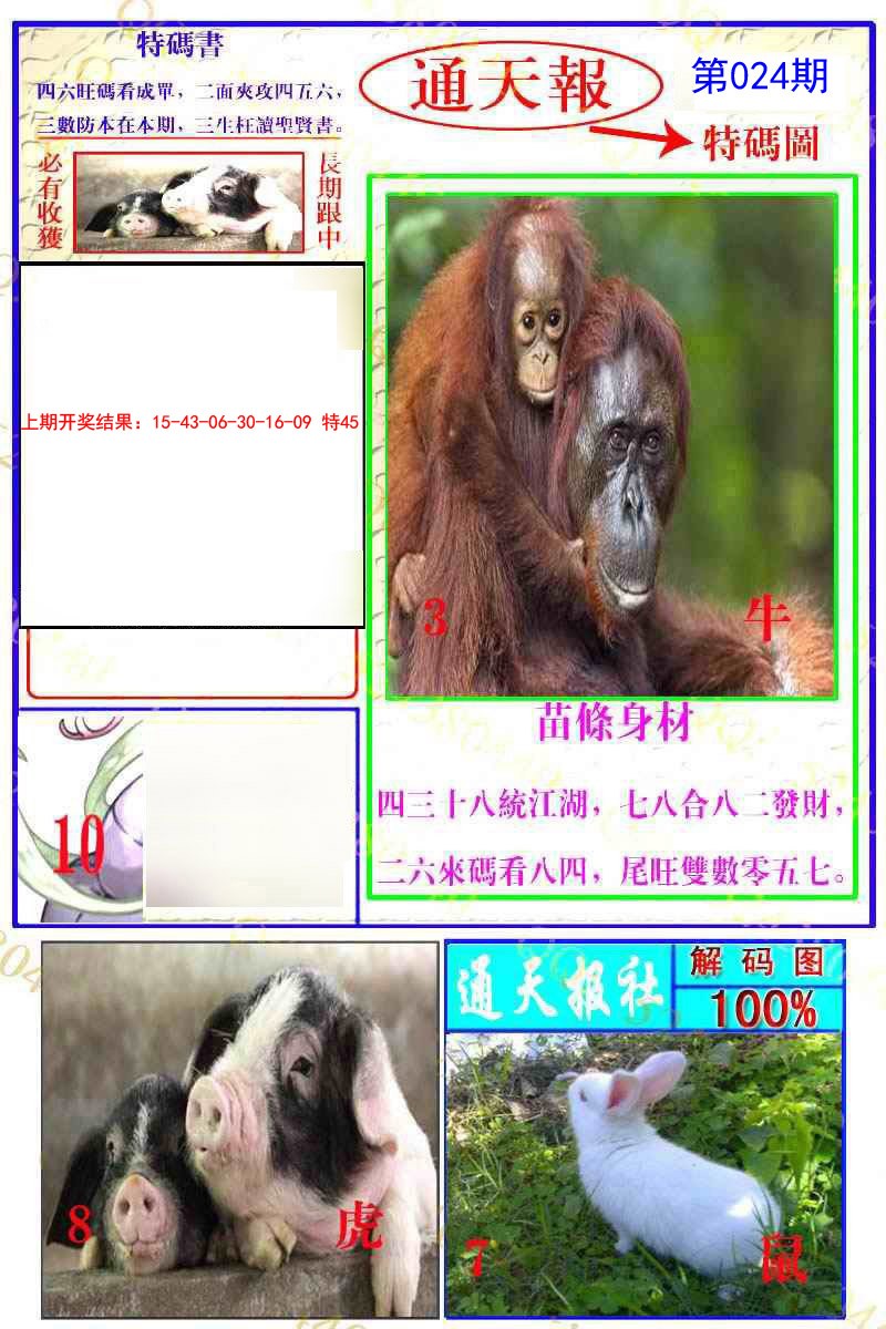 024期通天特解图[图]