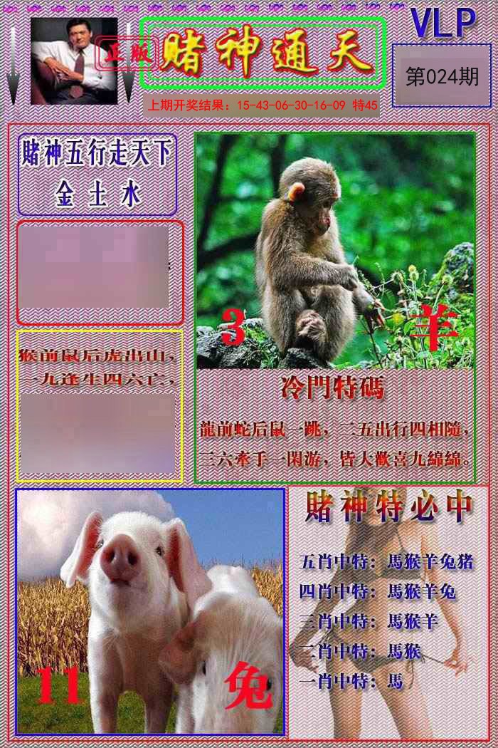 024期赌神通天报[图]