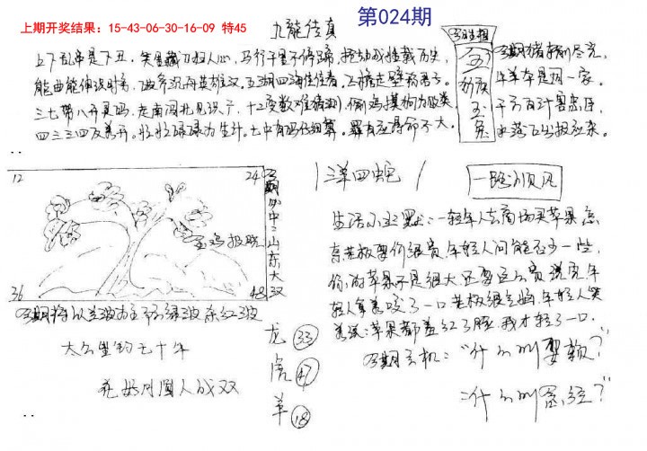 024期手写九龙内幕[图]