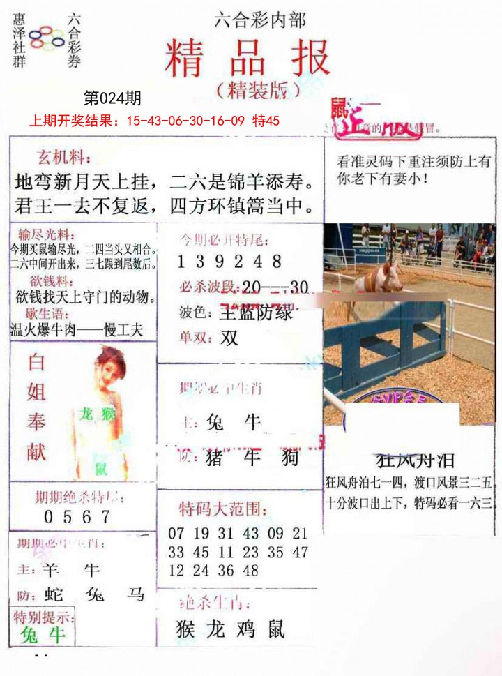 024期摇钱树[图]