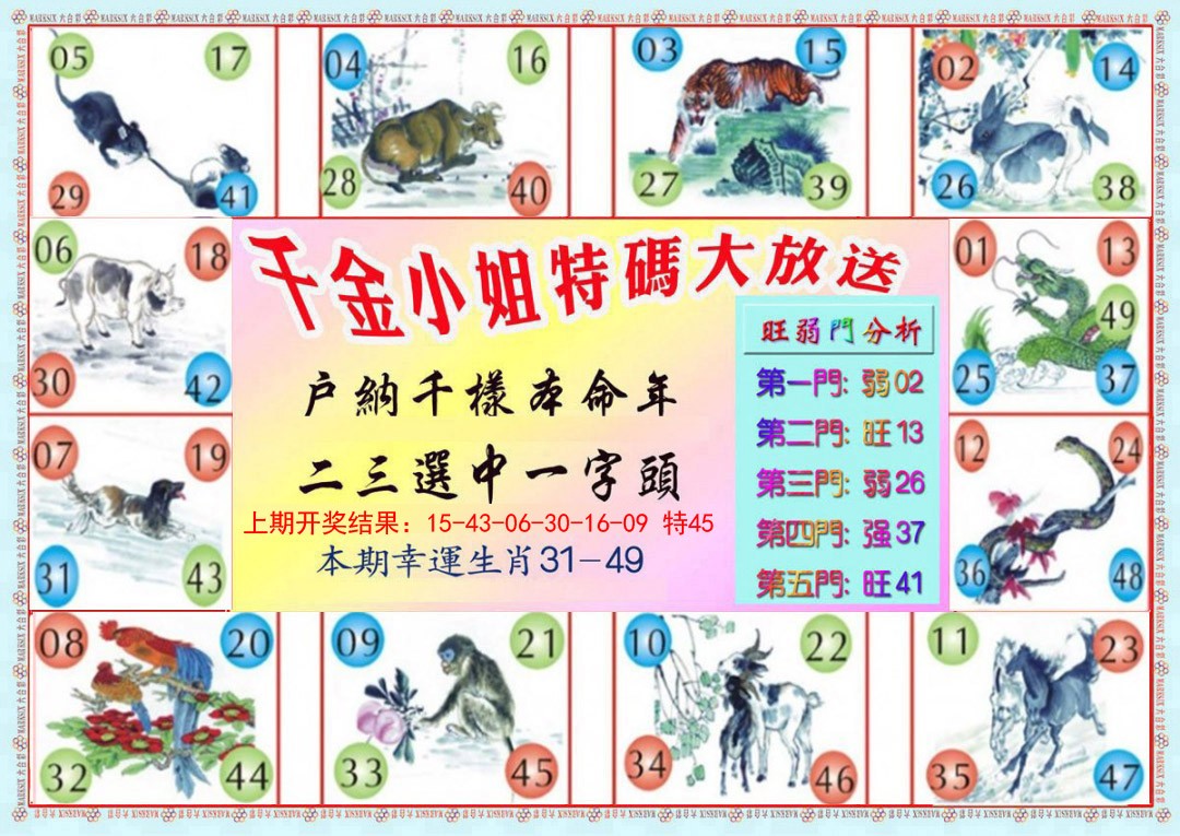 024期千金小姐B版[图]