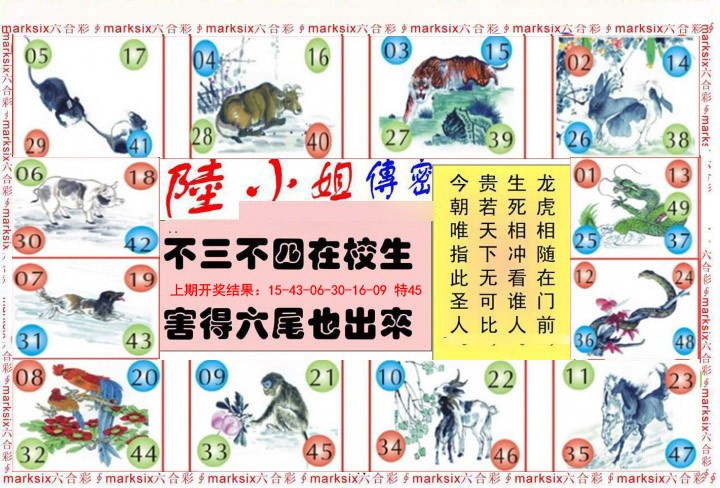 024期陆小姐传密B[图]