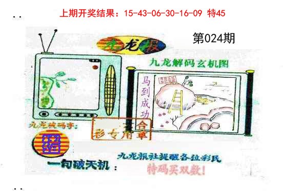 024期九龙报[图]