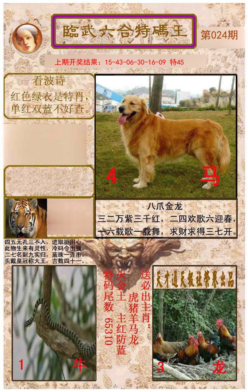 024期临武六合特码王[图]