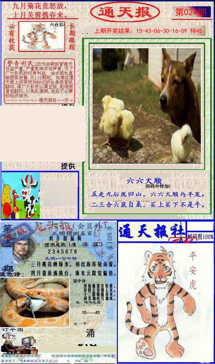 024期实力通天报[图]