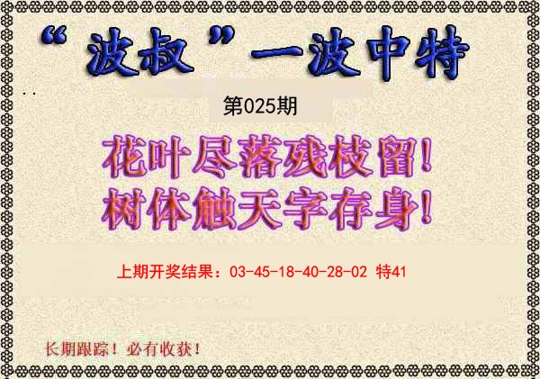 025期波叔一波中特[图]