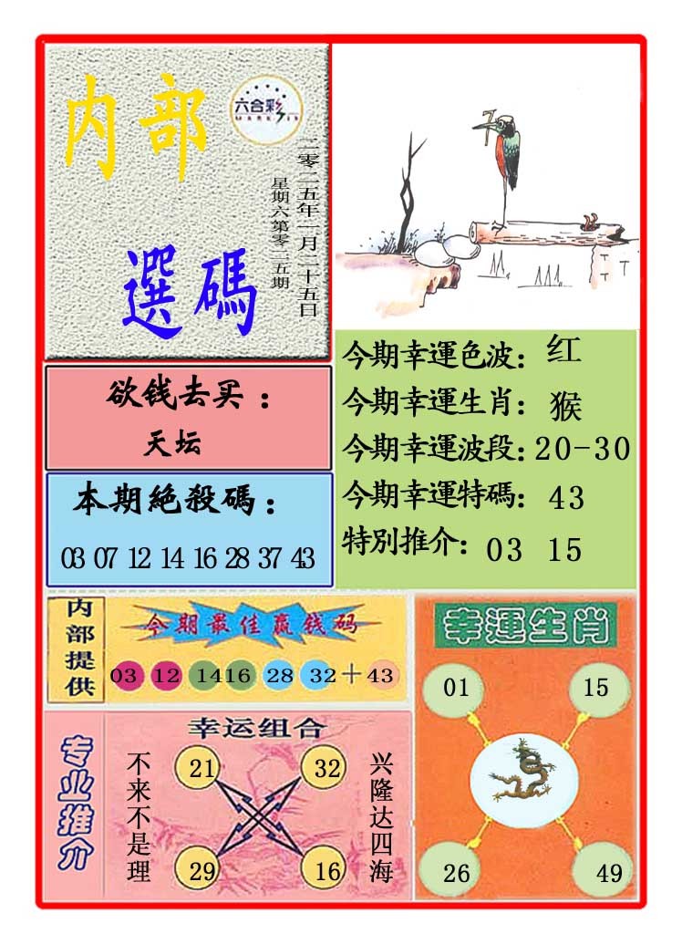 025期马会内部选码[图]