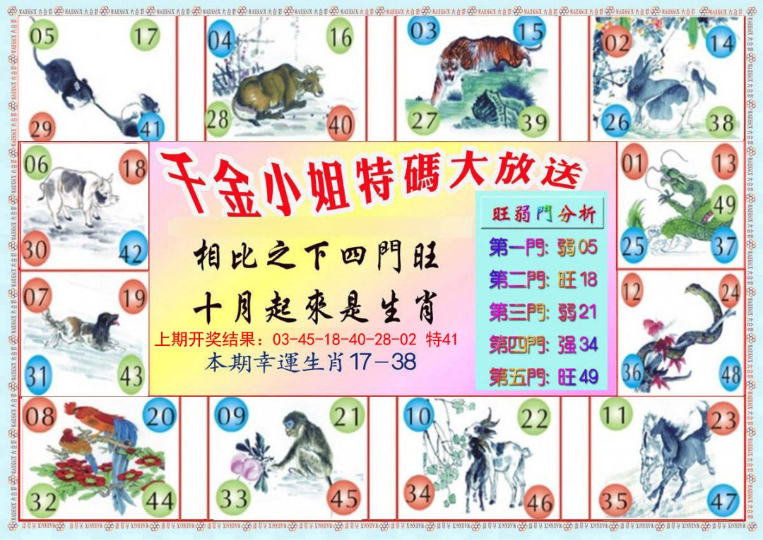 025期千金小姐B版[图]