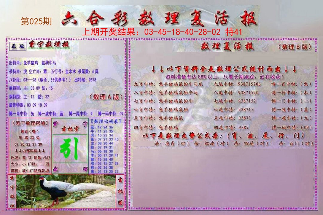 025期数理复活报[图]