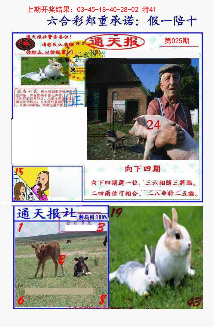 025期假一陪十通天报[图]