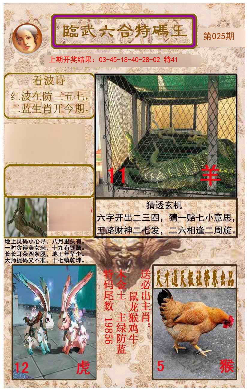 025期临武六合特码王[图]