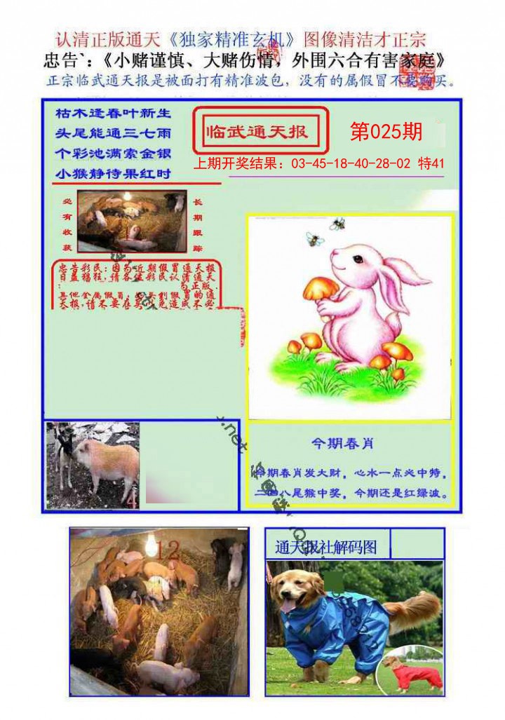 025期临武通天报[图]