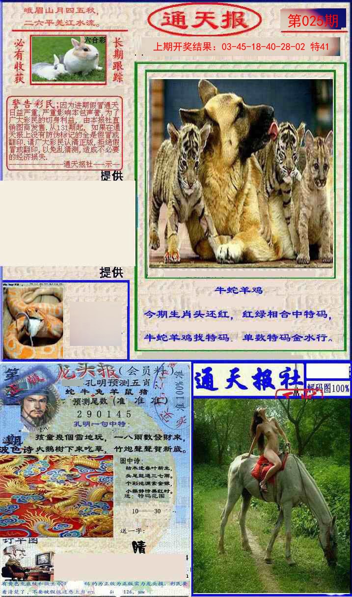 025期实力通天报[图]