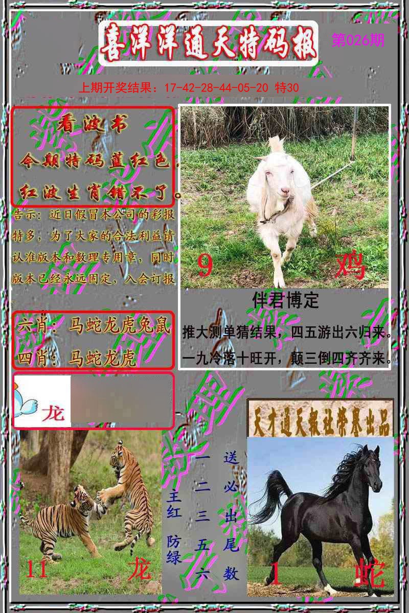 026期洋通报[图]