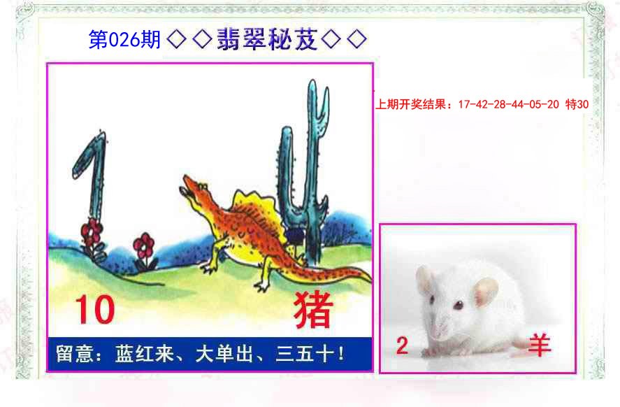 026期翡翠报[图]