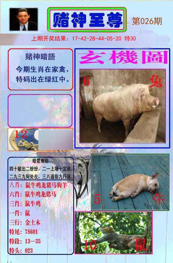 026期赌神至尊[图]