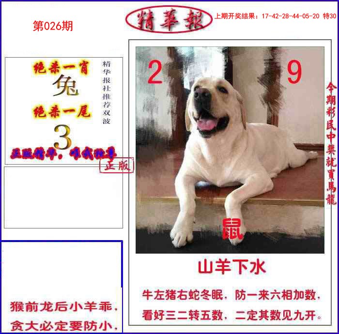 026期新精华报报[图]