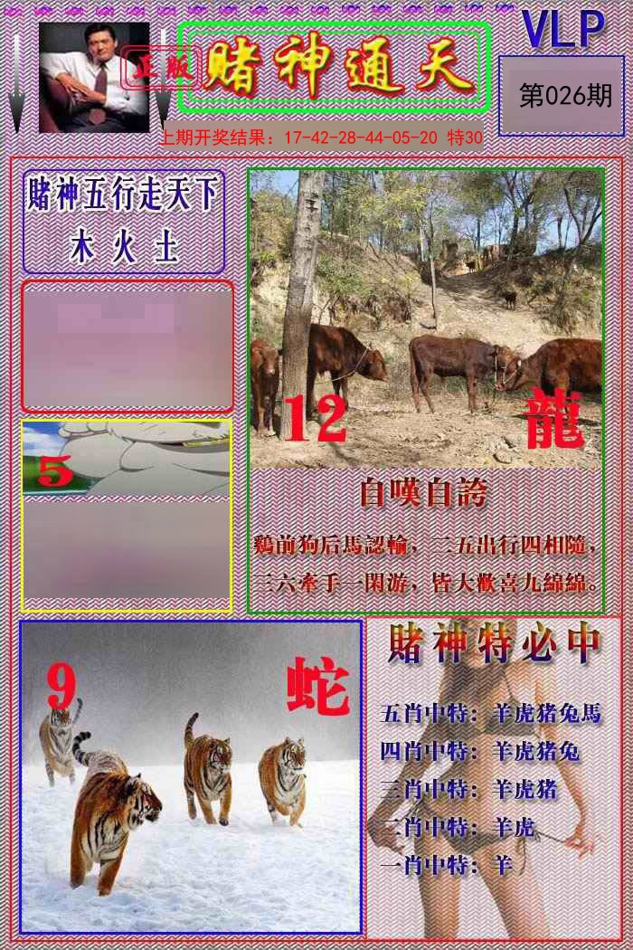026期赌神通天报[图]