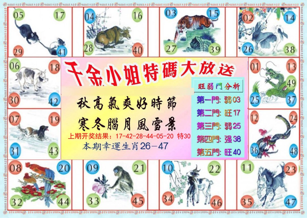 026期千金小姐B版[图]