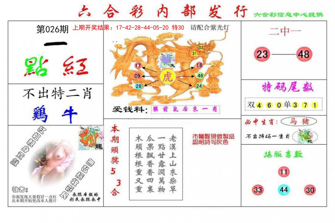 026期一点红[图]