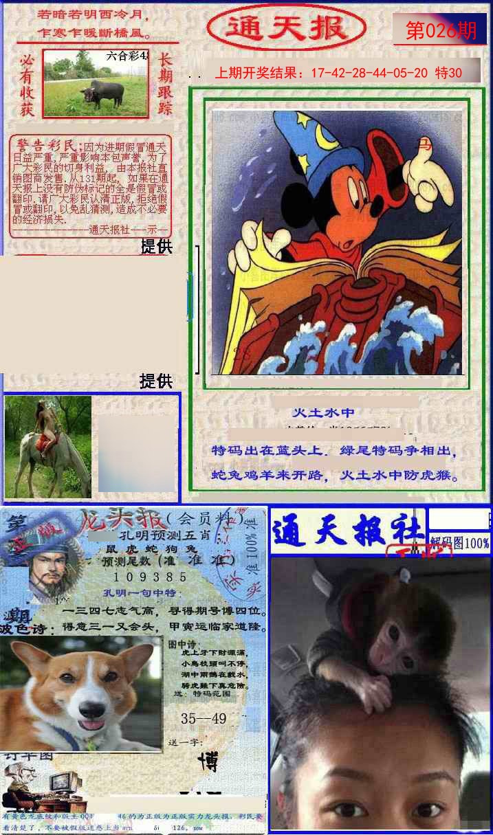 026期实力通天报[图]