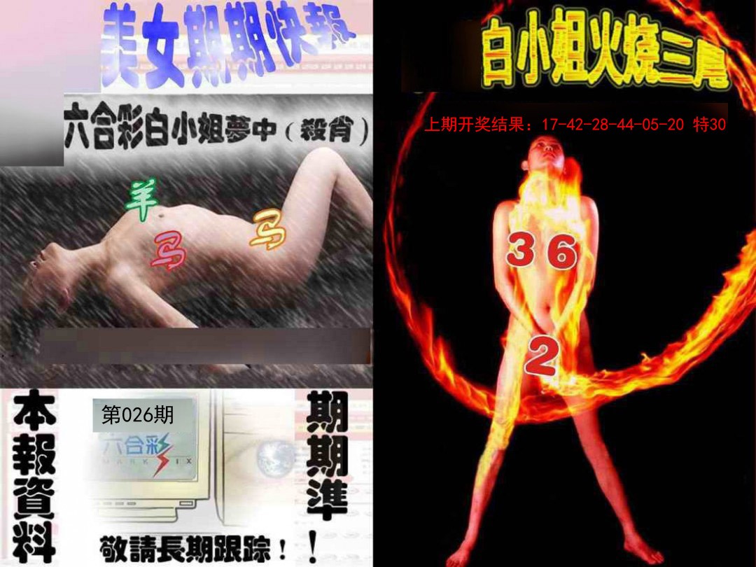 026期环球美女特码报[图]